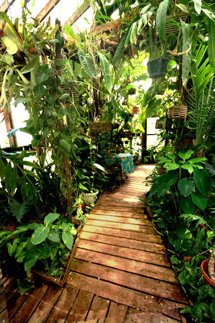 Main walk, The Exotic Rainforest atrium, Siloam Springs, AR, Photo Copyright 2009, Steve Lucas, www.ExoticRainforest.com